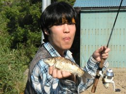 �Ȥ⤢���ȥեʡ�����ˤƥΡ����󥫡�����