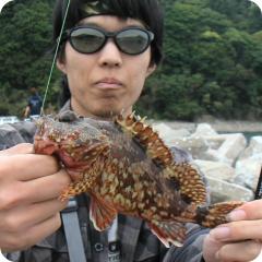 �Ȥ⤢���ȥ����顢�����ɤˤƥ�������