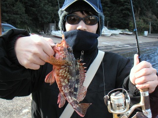 �Ȥ⤢���ȥ�����22������������ɤˤƥ����إåɥꥰ��