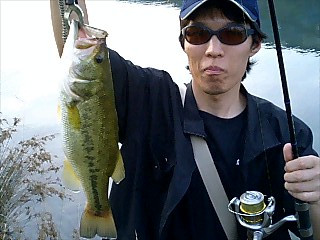 �Ȥ⤢���ȥХ�42.5�������ͭ����ˤ�