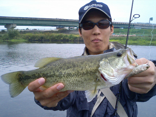 �Ȥ⤢���ȥХ���ͭ����ˤƥڥ󥷥�٥��Ȥ�