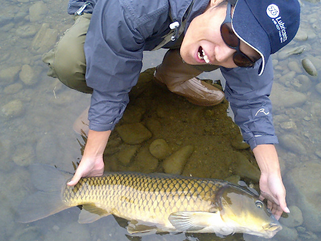 �Ȥ⤢���ȥ���75�����