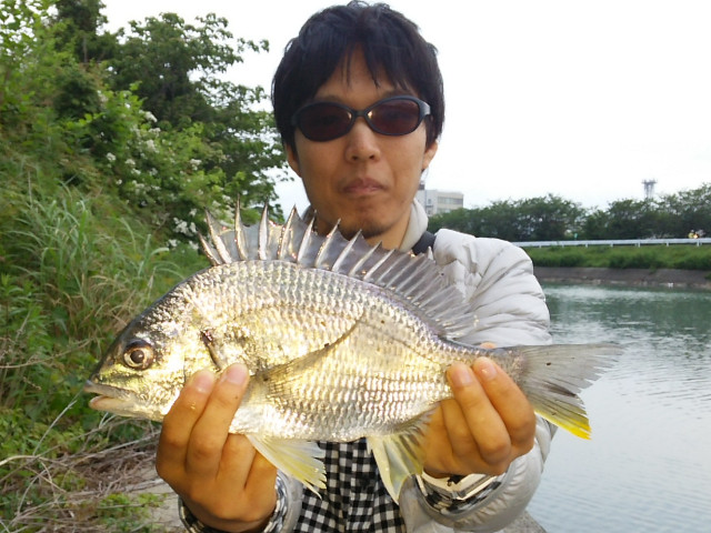 �Ȥ⤢���ȥ��ӥ�