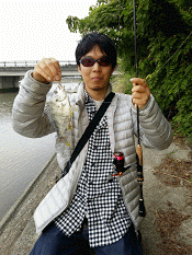 �Ȥ⤢���ȥ��ӥ�