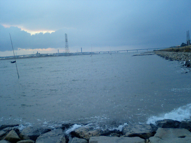 ������ˡ�綶��ή