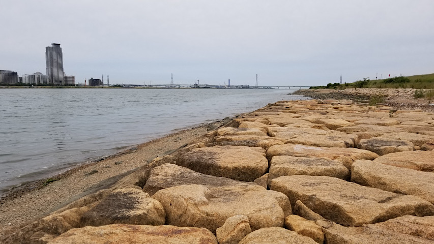 ������ˡ�綶��ή