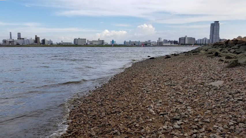 ������ˡ�綶��ή