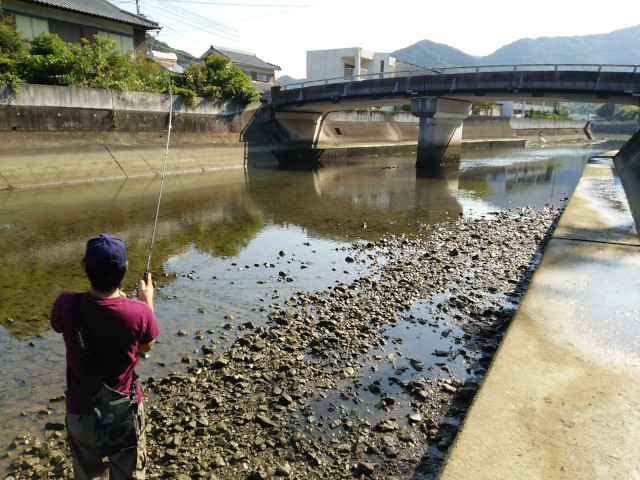 ͳ����ͳ�ɶ���ή