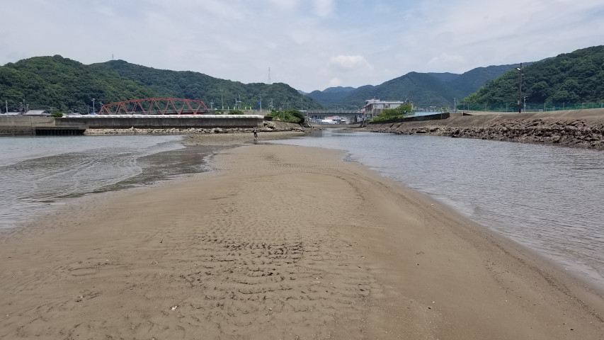 ͳ����ϸ��Υ���ɥС�