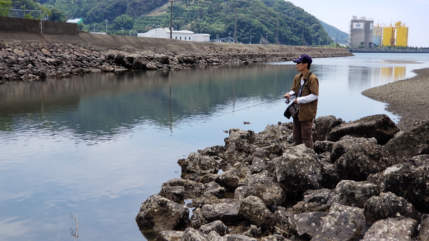 ͳ����ϸ���