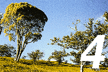 4$B7n(J