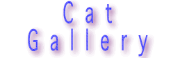 Cat Gallery