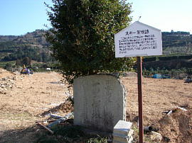 inasatouge-ohtani001s.jpg^Jꗢ