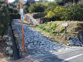 inasatouge-ohtani010s.jpg^o