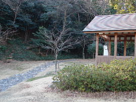 inasatouge022s.jpg^