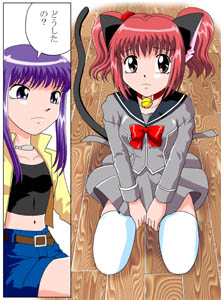 �ϐg�������e