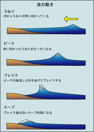 é¢é£ç»å