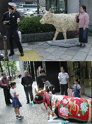 警官になって１５年、まさか東京でそれも日比谷で牛を撮ろうとは思いませんでした、と３０年後に孫に語ってたりして