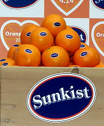 ルルーシュが命じる、ジェレミア・ゴットバルトよ、全力でオレンジを配るのだ！