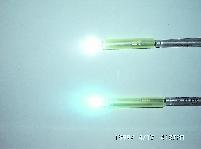 LEDQ