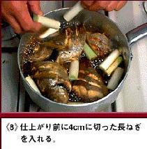 ryouri9