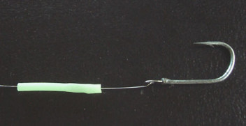 tachihari1