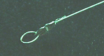 tachihari2