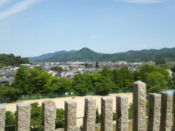 V䂩̒
