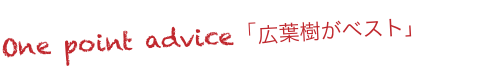 One point advice「広葉樹がベスト」