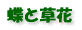 ���Ƒ��� 