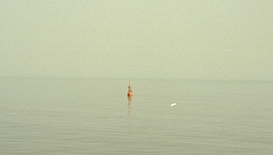 �ԋ{�C���ɕ����ԃu�C