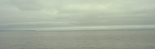 �C���ŋ���