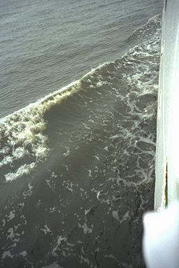 �͌��t�߂̊C���̐F