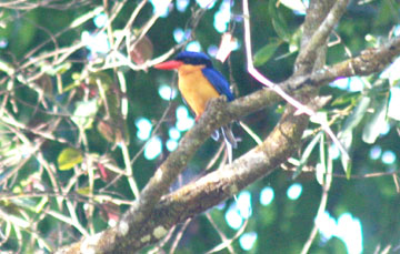 ���I�E��