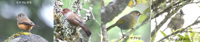 �����R��