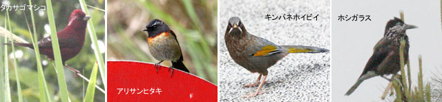 �����R��