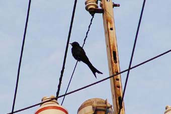 �I�E�`���E