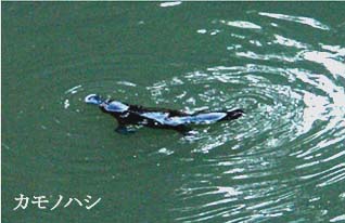 �P�A���Y��-4��