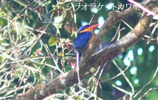 �P�A���Y��-2��