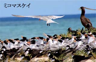 �P�A���Y��-3��