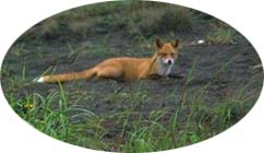 �L�^�L�c�l