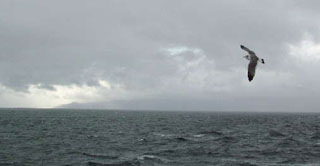 ����΍��n