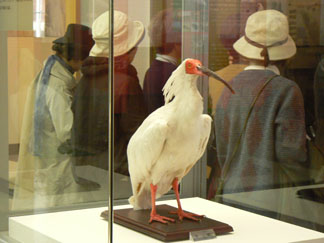 �L������