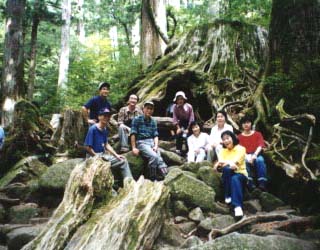 �E�B���\����