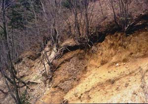 �I�X���b�̉z�~���ʐ^1