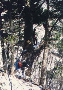 �I�X���b�̉z�~��3