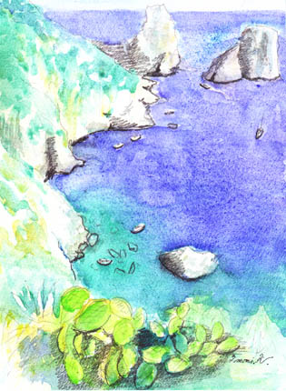 capri1.JPG