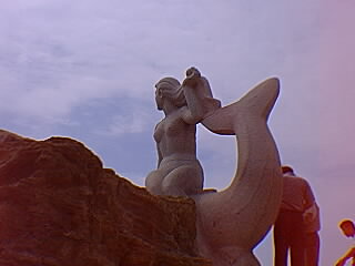 ���C����