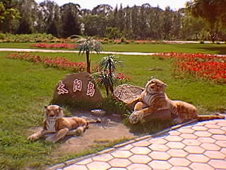 ���z������