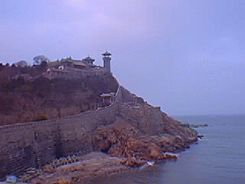 �H���t�ƒf�R